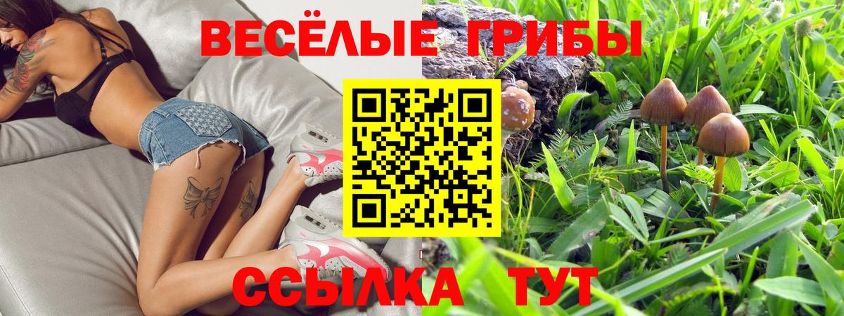 Псилоцибиновые грибы мицелий Урюпинск
