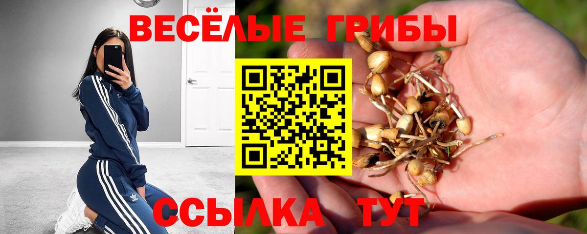 купить наркотики сайты  Вход с VPN  Урюпинск  Галлюциногенные грибы GOLDEN TEACHER  Галлюциногенные грибы MAGIC MUSHROOMS 